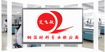 艾飛敏