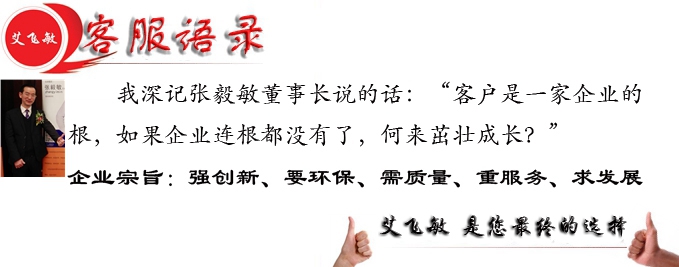 艾飛敏公司形象